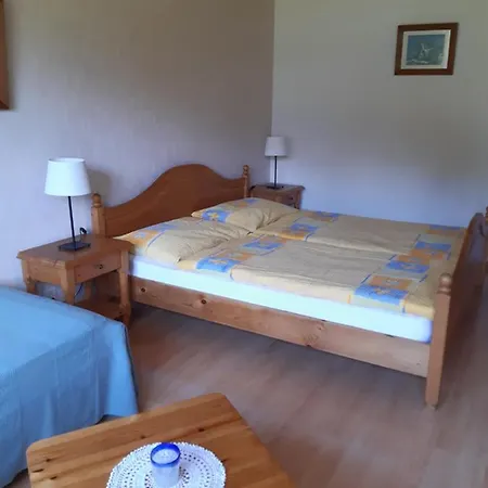 Alpina 2* Lenk im Simmental